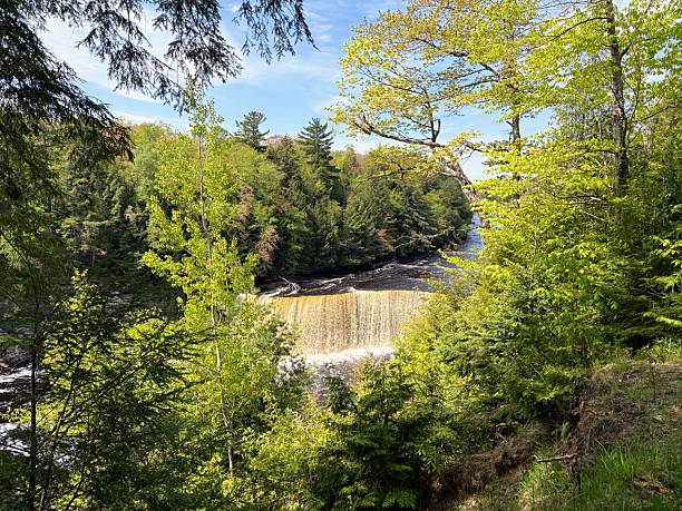 istock Tahquamenon Falls State Park, Michigan 2217880687