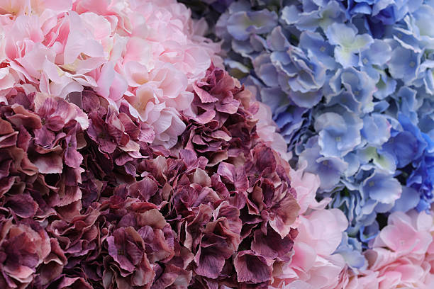 A visually rich floral arrangement featuring artificial hydrangeas in pastel pink, lavender blue, and deep burgundy hues. The flowers are densely layered to form a textured, seamless backdrop ideal for decoration, photography backdrops, event styling, or seasonal displays.