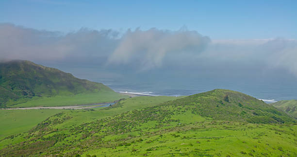 A breathtaking view of the rugged Pacific Northwest coastline, featuring dramatic cliffs, lush evergreen forests, and the vast ocean horizon. The scenic seascape captures the raw beauty and wild character of this iconic coastal region, perfect for nature, travel, and landscape photography.