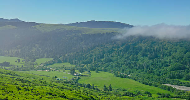 Aerial shot of lush green hills in Humboldt County, CA. On a sunny day next to the Pacific Ocean.