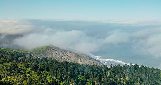 Aerial shot of lush green hills in Humboldt County, CA on a sunny day next to the Pacific Ocean.