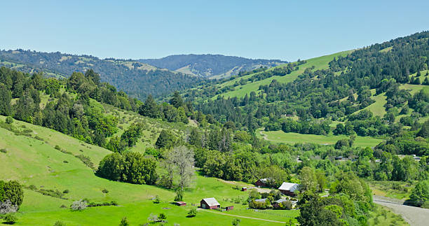 Aerial shot of the King Mountain Range on a sunny day in Humboldt County, CA. The mountains are covered in lush green grass and pine trees.