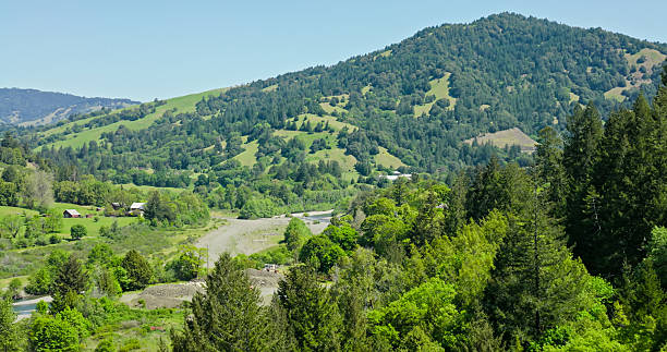 Aerial shot of the King Mountain Range on a sunny day in Humboldt County, CA. The mountains are covered in lush green grass and pine trees.