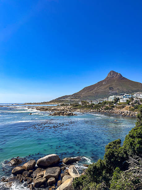 Got down low to include the bush on this shot across Hout Bay.