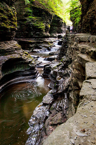 istock Watkins Glen State Park, New York 2217887010