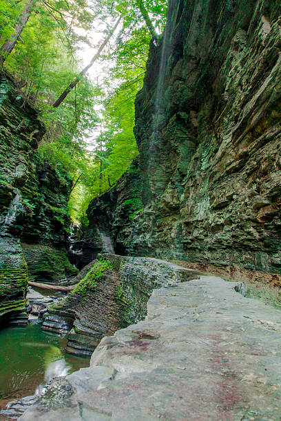 istock Pluto Falls, Watkins Glen State Park, New York 2217887018