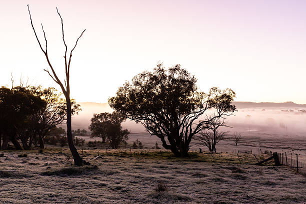 From high on a hill, the rural landscape below glows in the colours of dawn, with patches of mist drifting through the frosty valley. The peaceful scene is bathed in soft light