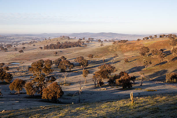 First light reveals a rural valley covered in frost as soft mist rolls through under the colours of early morning twilight