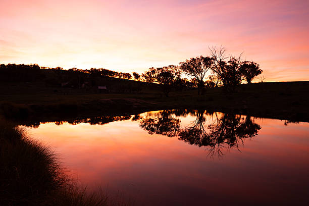 The sun sets, warm tones of orange, pink and purple light the sky and cast a gentle glow across a calm rural dam. Reflections of nearby trees stretch across the water