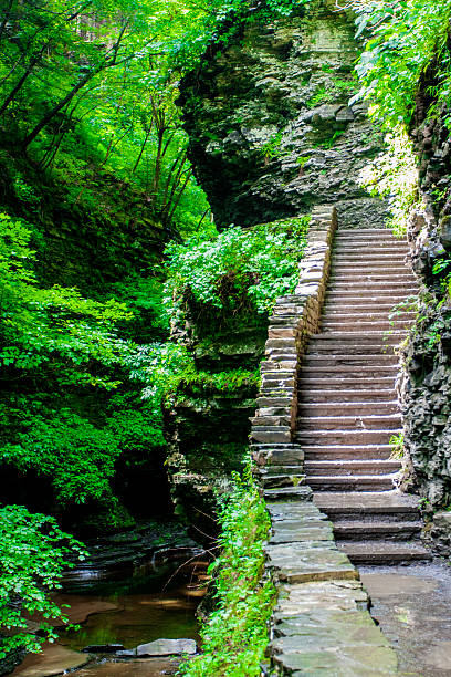 istock Watkins Glen State Park, New York 2217888073