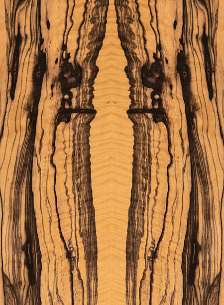 istock Veneer textures for wood products. 2217890272