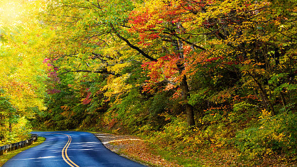 istock Scenic Autumn Drive with Colorful Foliage 2217896361