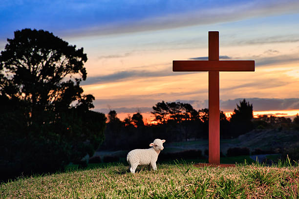 Wooden brown cross with a lamb close to it. as the sunsets in the background.