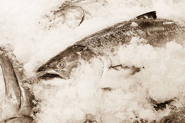 Fish sit on ice, at the market, creating a scenic view