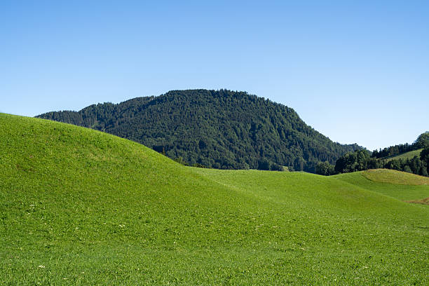 Green grass hill and clear sky in mountain landscape in summer