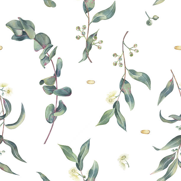 istock Seamless pattern of eucalyptus branches with leaves, flowers and shoots, essential oil drops, watercolor on white. Botanical pattern of medicinal herbs hand drawn for print on packaging, and textile 2217912507