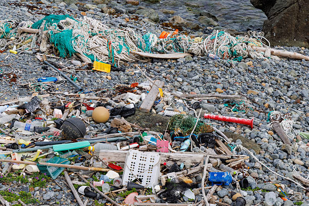 istock Marine debris washed up on the shore 2217913758