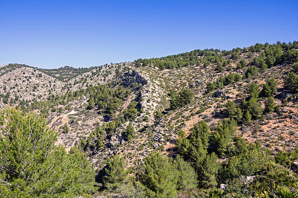 istock Mountain view at a shrubland on a mountainside a sunny summer day 2217914838