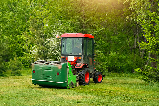 Little tractor in a field in the summer.
