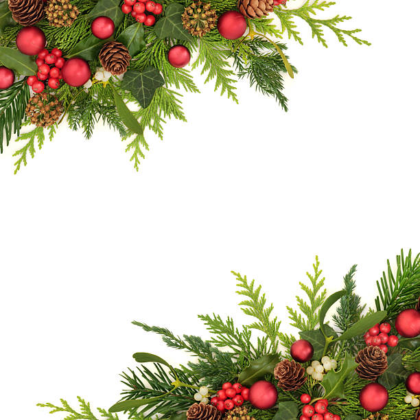 istock Xmas Decorations with Nature Flora Border Background 2217924439