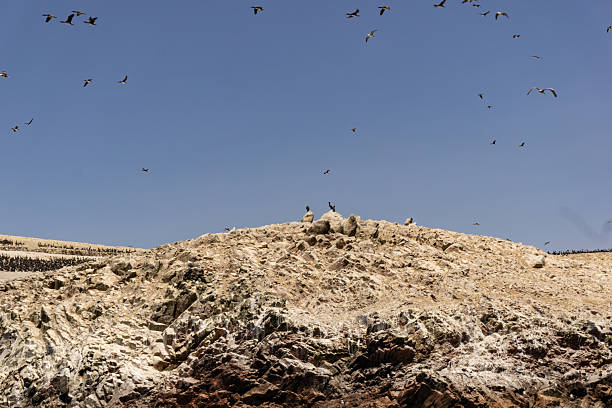 A beautiful shot of cliffs in Ballestas Islands. Peru
