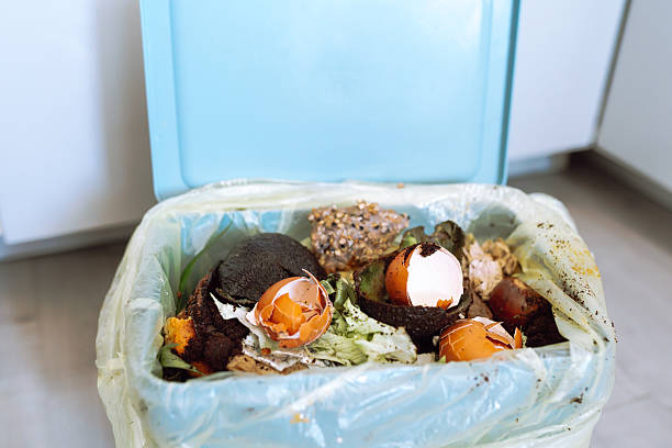 istock collecting organic food waste at home 2217931380