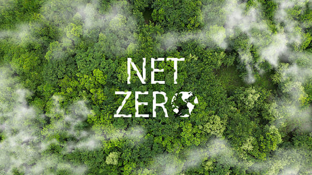 istock Net Zero: A Natural Environment and Carbon Neutrality Concept Hand in Hand for Net Zero Emissions Targets, a Climate Neutral Long-Term Strategy 2217933111