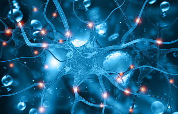 istock Neural network connections. neurons with electrical pulses 2217934623