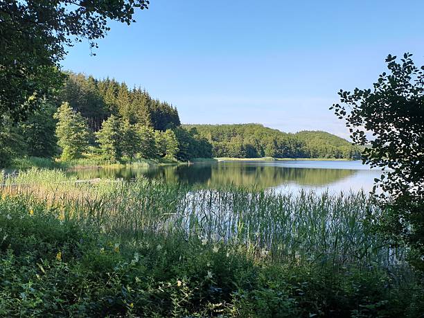 istock Kungsbacka nature and landscape 2217935406