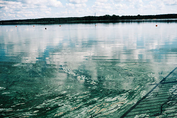 Surface of green lake in summer