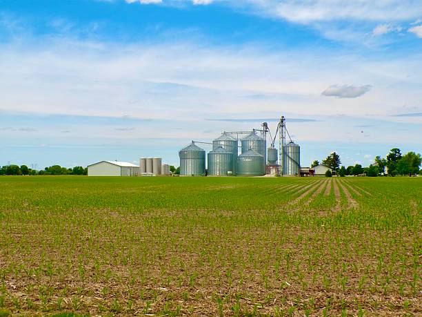 istock White barn and silos on sunny day. 2217940936