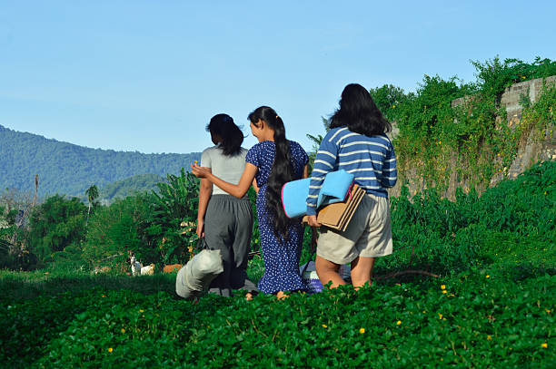 Three girls proceed along a grassy area surrounded by lush wild plants on a sunny day.