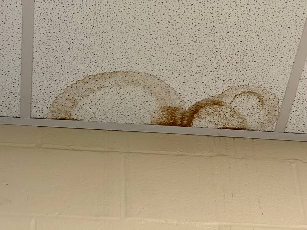 istock Ceiling Water Leak and Water Damage 2217953292
