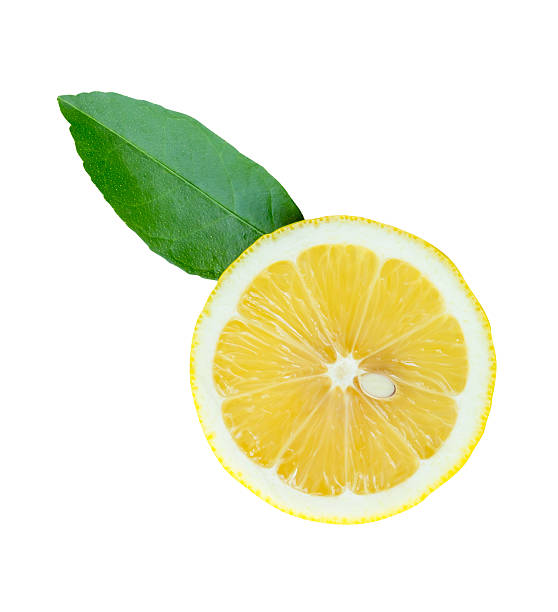 Front view of ripe yellow lemon fruit in one half with green leaf isolated on white background with clipping path
