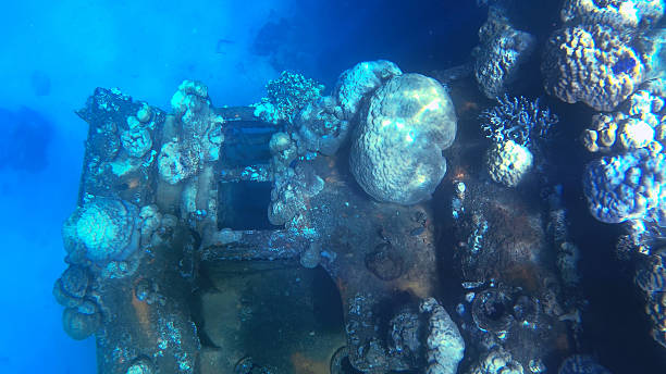 istock Shipwreck Diving in Palau 2217963375