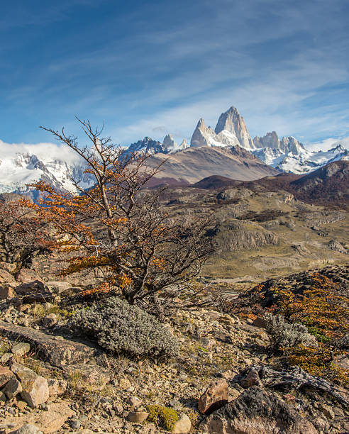 istock Hiking during the fall in Patagonia, Argentina 1 2217963854
