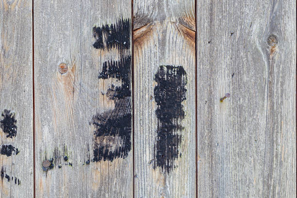 Old weathered abstract woodenplanks background. One of them is white-colored.