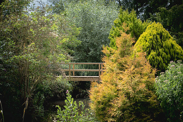 Small bridge in the garden