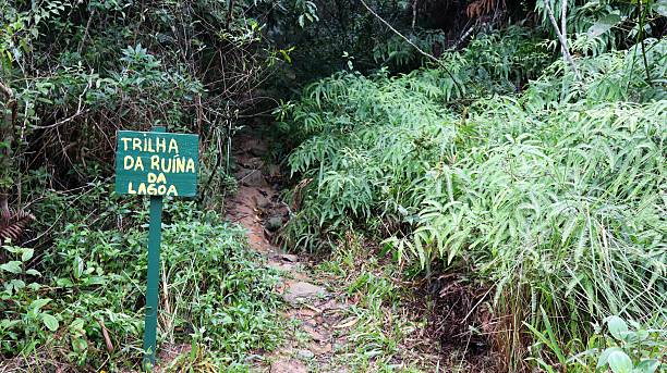 istock Trail in a nature reserve 2217974610