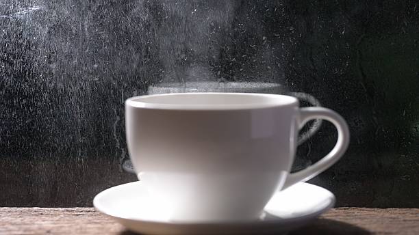 Relaxation Moment with Hot Drink Americano, Espresso or Hot Tea Concept, Outdoor Golden Hour, Coffee Cup, Mug in Nature Setting Tranquil Scene