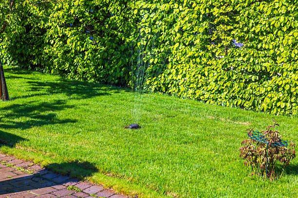 A red sprinkler with three nozzles is sitting on the grass. The water is spraying out of the sprinkler, creating a wet and refreshing atmosphere