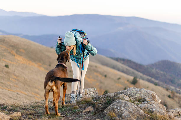 istock Woman with her dog taking a break from hiking 2217976624