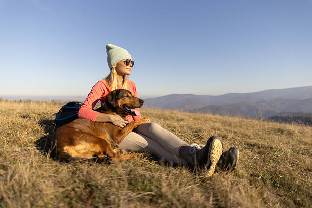 Woman and her dog, taking a break from hiking in the mountains, They are sitting on the ground, the woman is hugging the dog, they are looking at view.