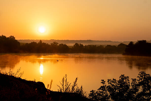 istock Serene Sunrise Over a Calm Lake With Misty Trees 2217980593