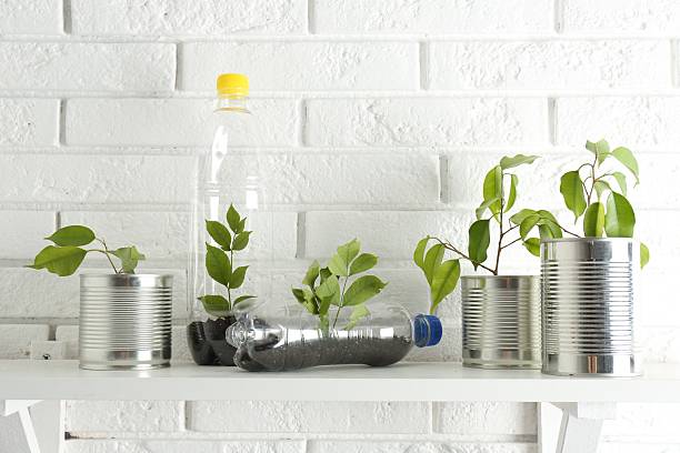istock Recycling concept. Metal cans and plastic bottles with growing plants on white table 2217988491