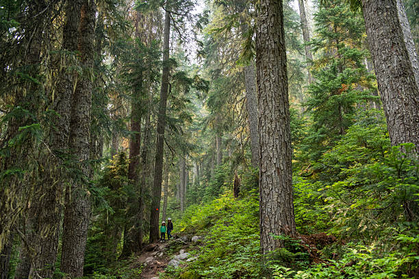 istock Young girls walk down trail in forest 2217999728