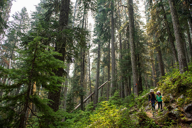 istock Young girls walk down trail in forest 2217999820