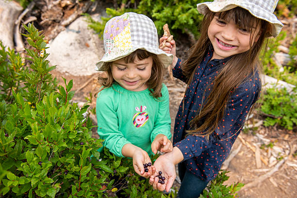 Young girls holding wild blueberries