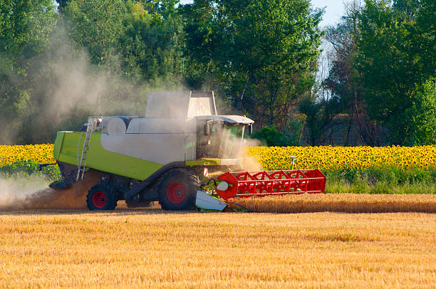 istock Combine harvester harvesting wheat 2218001471