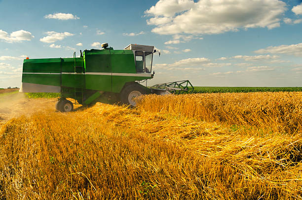 istock Combine harvester harvesting wheat 2218001656